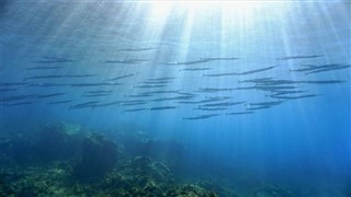 Otoci Koraljnog mora vremenska prognoza
