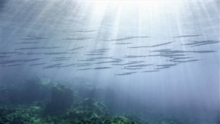 Coral Sea Islands prévisions météorologiques