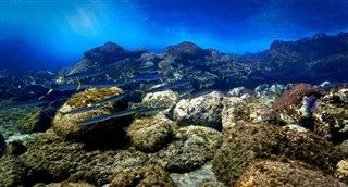 Coral Sea Islands vejrudsigt