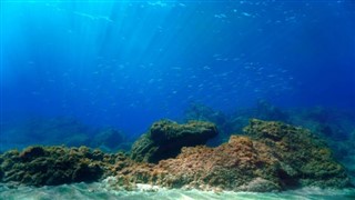 Coral Sea Islands vejrudsigt