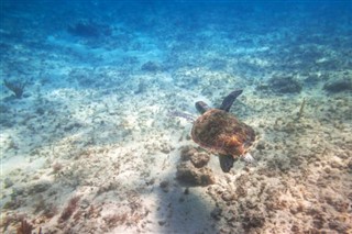 コーラル・シー諸島 天気予報