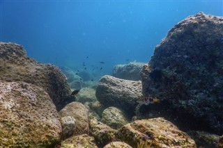 Coral Sea Islands weather forecast