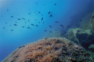 Coral Sea Islands vejrudsigt