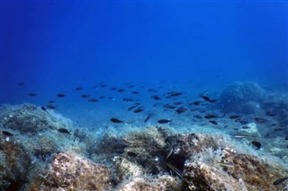 Coral Sea Islands vejrudsigt