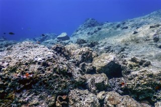 Coral Sea Islands vejrudsigt