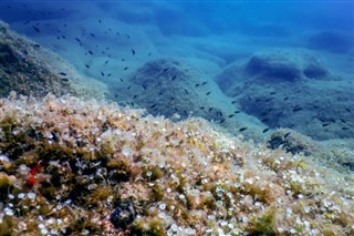 Coral Sea Islands prévisions météorologiques