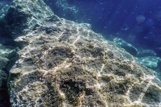 Coral Sea Islands vejrudsigt