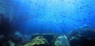 Coral Sea Islands vejrudsigt