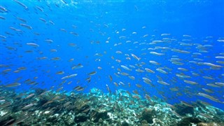 Coral Sea Islands weather forecast