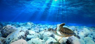 Islas del Mar del Coral pronóstico del tiempo