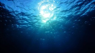 Islas del Mar del Coral pronóstico del tiempo
