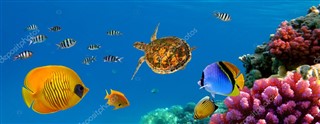 Coral Sea Islands prévisions météorologiques