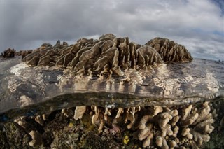 Coral Sea Islands weersvoorspelling