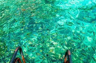 Coral Sea Islands vejrudsigt