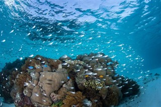 Coral Sea Islands předpověď počasí