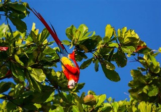 Costa Rica időjárás-jelentés