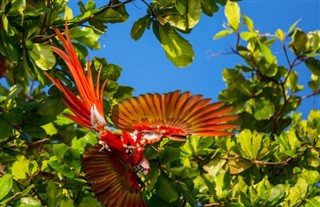 Costa Rica vejrudsigt