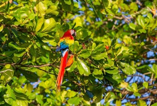 Costa Rica prévisions météorologiques