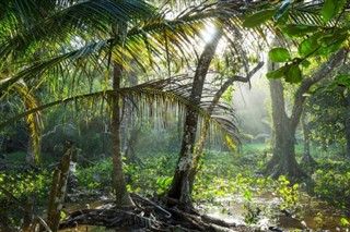 Costa Rica időjárás-jelentés