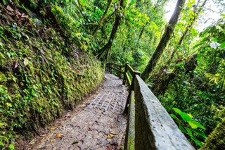 Costa Rica weather forecast