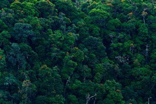 Costa Rica vejrudsigt