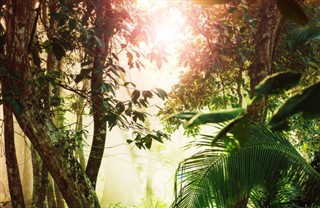Costa Rica vejrudsigt