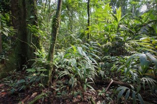 Costa Rica vejrudsigt