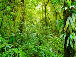 Costa Rica vejrudsigt