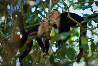 Costa Rica vejrudsigt