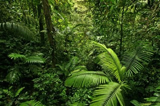 Costa Rica weather forecast