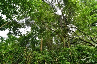 Costa Rica vejrudsigt