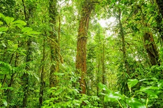 Costa Rica prévisions météorologiques