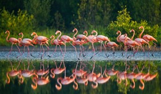 Cuba pronóstico del tiempo