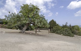 Kıbrıs Hava tahmini