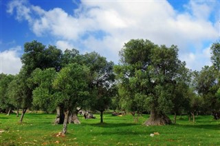 Chypre prévisions météorologiques