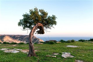 Kıbrıs hava tahmini