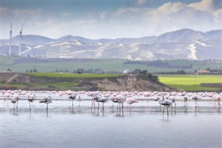 Kıbrıs hava tahmini