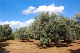 קַפרִיסִין תחזית מזג האוויר