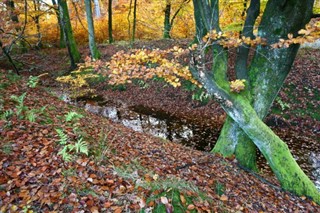 Danmark vejrudsigt