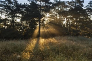 Danmark vejrudsigt