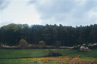 Danmark vejrudsigt