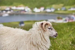 Danmark vejrudsigt