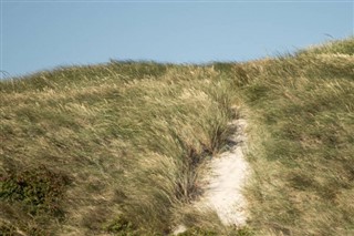 Danmark vejrudsigt