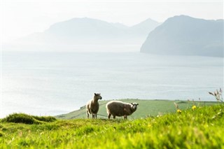 Denemarken weersvoorspelling