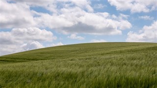 Danmark vejrudsigt