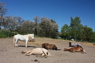 Danimarka hava tahmini