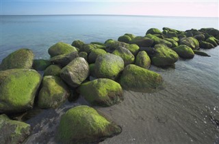 Danmark vejrudsigt