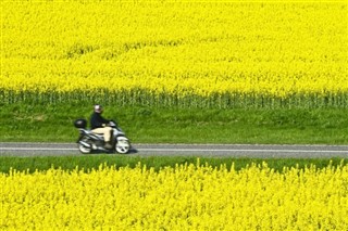 Danmark vejrudsigt
