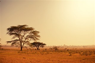 Djibouti prévisions météorologiques