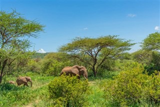 Djibouti pronóstico del tiempo